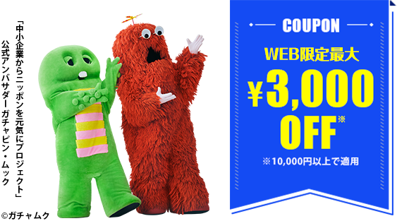 coupon