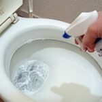 トイレの落ちない黒ずみを掃除する方法！原因やおすすめ洗剤・予防法も紹介