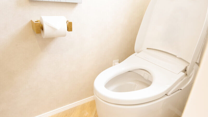 トイレつまりで水が引かない原因
