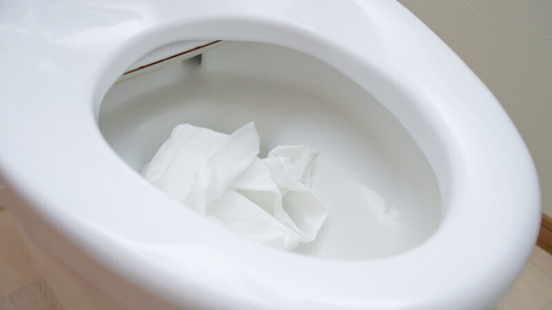 トイレつまりで水が引かない原因と対処法！NG行動や費用相場も紹介