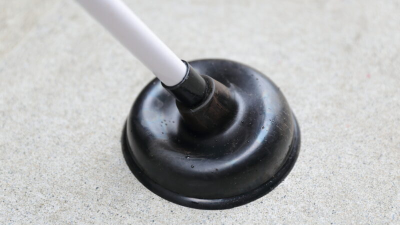 pixta 107643521 M e1760150278872