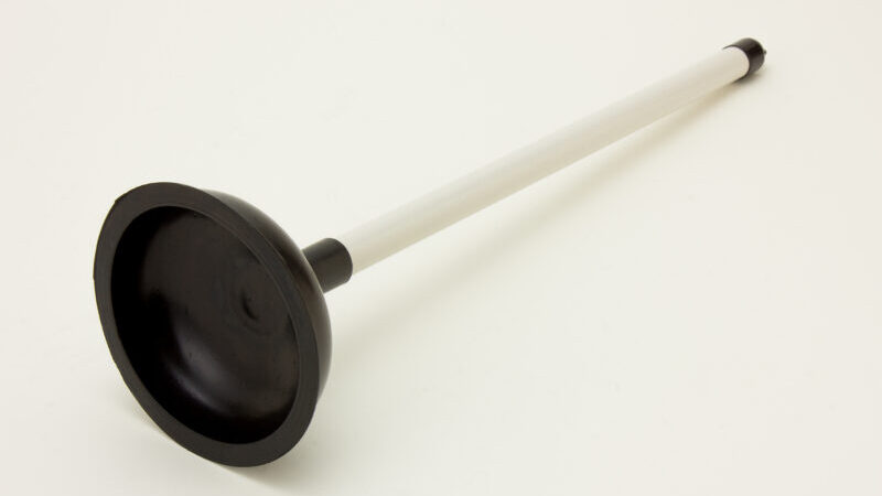 pixta 28152101 M e1760150216544