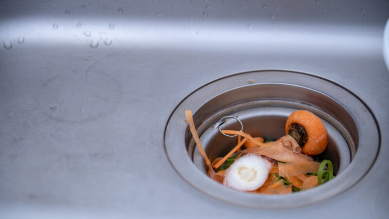 pixta 54844805 M e1760234315222