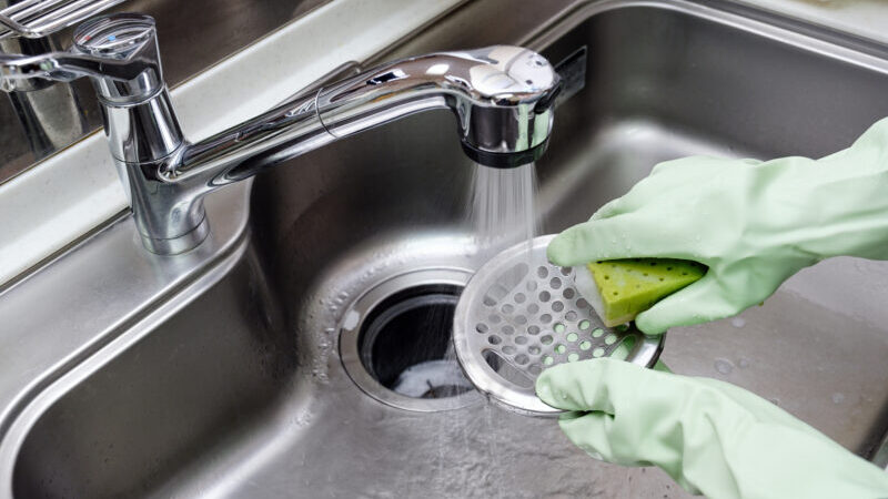 pixta 77232408 M e1760234387383