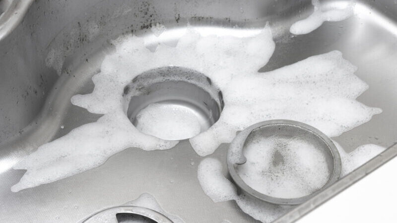 pixta 85025681 M e1760234417684