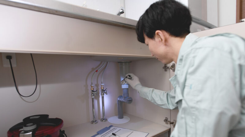 pixta 95767980 M e1760234436928