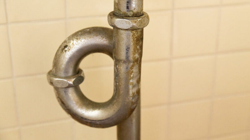 pixta 115507769 M e1763170757772