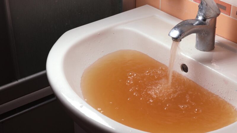 pixta 85157513 M e1763170774112