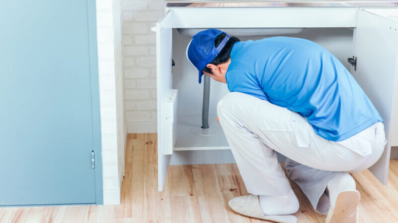 pixta 87162878 M e1763170801877