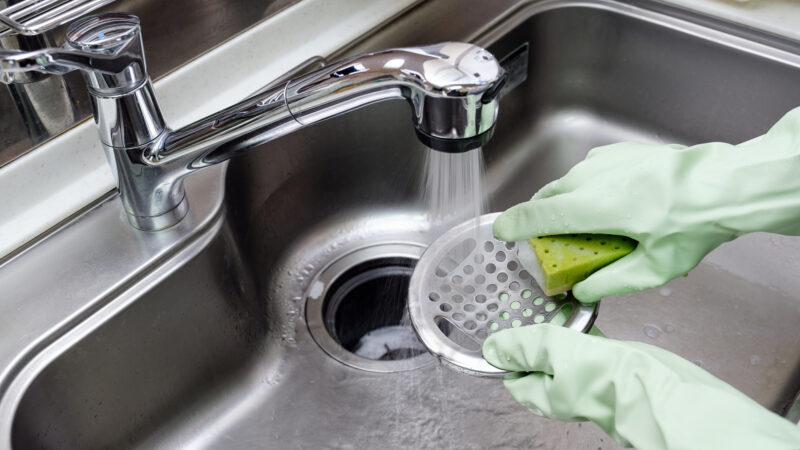 pixta 77232408 M e1766113103521