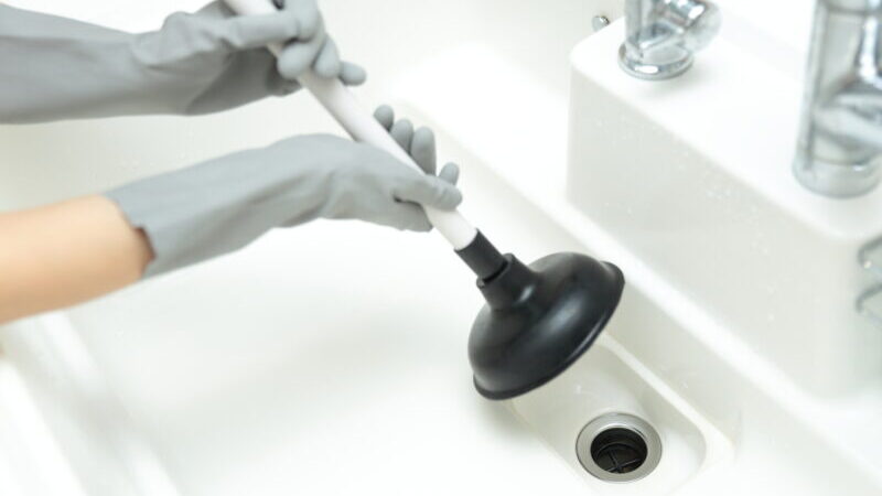 pixta 84570286 M e1766112963569