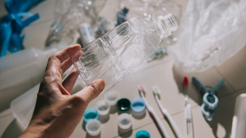 pixta 82523979 M e1768447734553