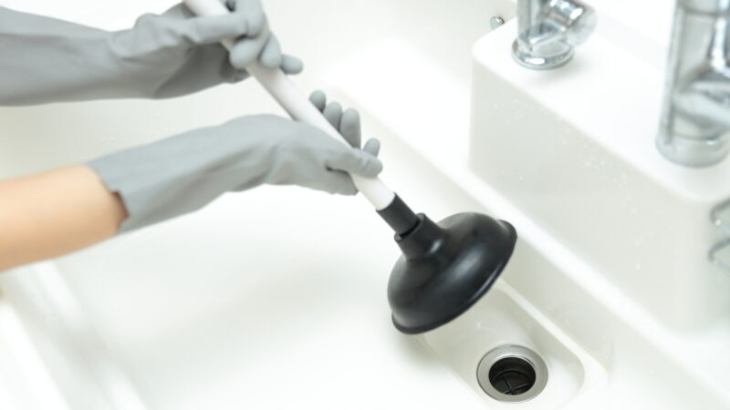 pixta 84570286 M e1768447905159