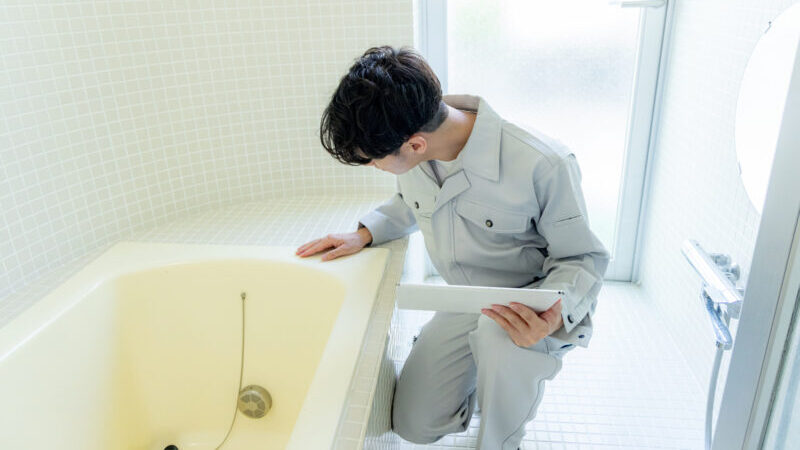 pixta 129673461 M e1773370828706