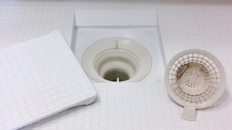 pixta 23846419 M e1773370453988