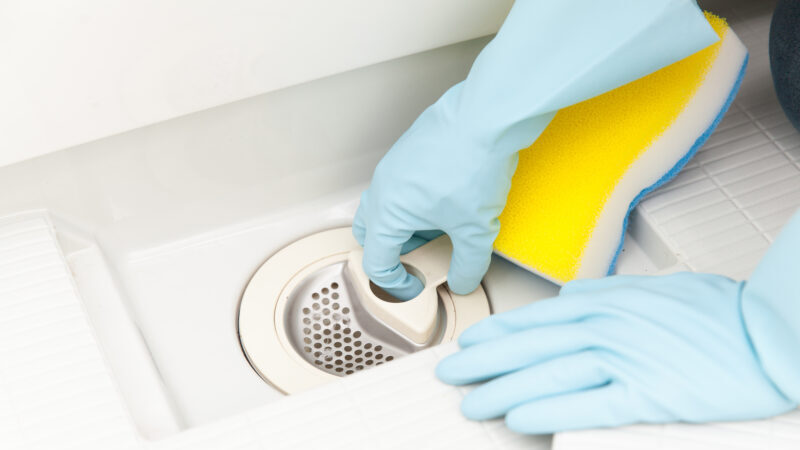 pixta 23908563 M e1773370599341